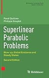 Superlinear Parabolic Problems: Blow-up, Global Existence and Steady States (Birkhäuser Advanced Texts Basler Lehrbücher)