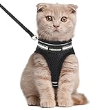 rabbitgoo Katzengeschirr Katzenleine Set Katzengeschirr mit Leine Geschirr Katzen ausbruchsicher verstellbar weich mit reflektierenden Streifen für Katzen Welpen Cat H