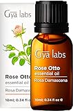 Gya Labs Ätherisches Öl Rose für Haut und Gesicht - Reine Rosenöl Parfüm für Entspannung - 100 Naturrein Ätherische Öle Rose Otto Oil für Diffuser Aromatherapie, Aromaöl und Duftöl - 10