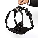FullBerg® Hundegeschirr für Kleine, mittelgroße und große Hunde Anti Zug Geschirr No Pull Sicherheitsgeschirr Brustgeschirr Dog Harness Weich Gepolstert verstellbar Atmungsaktiv Schwarz (M)