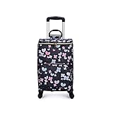 TINGHAO Einkaufswagen auf Rädern Aluminiumfolie Zinn Isolierung Trolley Bag Falten Einkaufswagen Handtasche Einkaufstasche Für Frauen Männer Strand Picknick Einkaufswagen für Damen (Color : C)