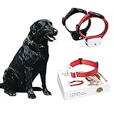 Antibell Halsband Hund Erziehungshalsband Hund Spray Erziehungshalsband Hund Wasserstrahl Reflektierendes Vibrationshalsband füR Hunde Hundehalsband füR Kleine Hund,GroßE Hunde (rote)