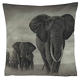 Kissenhüllen Kissenbezug 40x40 Kissen Dekokissen Kuschelkissen Tiermotive (Animal Afrika Elefanten)