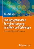 Leitungsgebundene Energieversorgung in Mittel- und Osteuropa: Elektrizität, Erdgas und Fernw