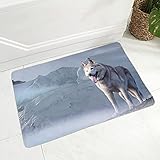 YuPancjua Haustier Tier Flanell 3D Bodenmatte Korridor Schlafzimmer Dekoration Teppich Siberian Husky Hund rutschfeste Fußmatte 40X60Cm M8650