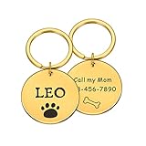 Personalisierte Hundemarke Edelstahl Namensgravierte ID-Tags für Hundehalsband Anti-Verlorener Haustier-Typenschild-Anhänger für Pitbull Labrador,Gold,30mm x 30