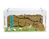 AntHouse - Natürliche Ameisenfarm aus Sand | Acryl Starter Set 20x10x10 cm | Ink
