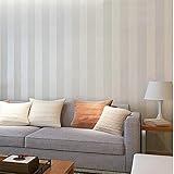 Silber Minimalistische Tapete Wandverkleidung Streifen Tapete Glitter Hintergrund Wandtapete Für Wohnzimmerpeel And StickKontaktpapier Wohnzimmer Schlafzimmer Möbel Dekoration Möbel Stick