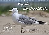 Vögel der Nordseeküste (Wandkalender 2022 DIN A2 quer)