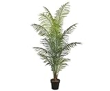 Kunstpalme Areca mit 14 Palmwedel Höhe 200cm - günstige Kunstpalme ideal für Sommer Sonne Urlaubsdekoration kü