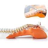 Worth Having - Zervix/lumbales Traktionsgerät, Wirbelsäulen-beruhigende Orthese, Muskel-Relaxationsmassage, geeignete Rückstrahlvorrichtung Gesundheitswesen für Home O