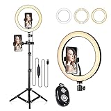 ZIEM 10.2 LED-Ringlicht 3200K-5500K Dimmbare Schreibtischkameralampe 3 Lichtmodi 10 Einstellbare Helligkeit für Live-Streaming Selfie-Make-up YouTube-Video-Vlog-Fotog