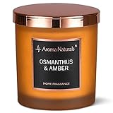 Aroma Naturals Luxuriöse Duftkerze, 215 g, 35 Stunden Brenndauer, Natürlicher Sojawachs, Dekorative Duftkerze für Zuhause, als Geschenk, Mittelgroßes Glas (Duftblütenbaum und Blutjohanneskraut)