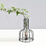 Vase aus Eisen, Glas-Reagenzglas-Blumenvase mit schwarzem Metallgestell-Ständer, Reagenzglasvase für Hydroponikanlage, Hydrokultur, Pflanzenaufsatz für Heimbüro-Dek