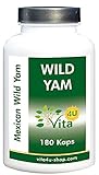 Wild Yam Wurzel 10% Extrakt | 150mg Diosgenin x 90 Tage | 180 Kapseln mit je 750mg Wild Yam Extrakt Pulver | vegan & hochdosiert | Preis-Leistungs-Tip: 90 Tagesrationen zu je 150mg Diosg