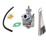 Dokili Vergaser 19mm 16N1-11 für Simson S50 S51 S70 DDR-Typ 1.Wahl, Vergaser Carbon Reiniger Kit & Kraftstofffilter Befestigungsdichtung