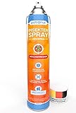 Patronus Insektenspray Universal mit Sofort- und Langzeitschutz 750ml - Power Ungeziefer-Spray zur Bekämpfung von zahlreichen Insekten - hochwirksam & hergestellt in D