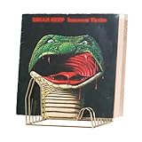 draadwerk® Schallplatten Aufbewahrung | Schallplattenständer | Vinyl Halter für 35 Platten | LP Ständer | Prospekthalter | Bücher Aufbewahrung | Zeitungsständer | Schallplatten Deko | G