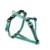 Feltmann Mopsgeschirr Hundegeschirr, Soft Grip, türkis/braun, 5-9 kg, 15