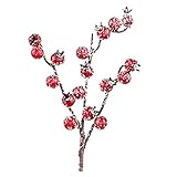 PRETYZOOM 10 Stück Künstliche Beerenstängel Schnee Gefrostet Gefälschte Beerenzweige Kleben Stechpalmenbeeren Blumenarrangement Weihnachtsbaumdekor für Thanksgiving-Herbstparty (Rot)