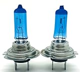 * 24V * H7 Xenon Optik GAS Halogen Lampen Birnen TRUCK für LKW BUS Super White Birnen Autolampen 70W 100% Zugelassen im Bereich der StVZO