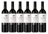 Ventus Tinto Patagonia Argentina, Bodega del Fin del Mundo, Argentinien, Jahrgang 2020 (6 x 0,75 l)