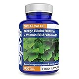 Ginkgo Biloba 6000 mg, 360 Vegan Ginkgo Tabletten mit Vitamin B3 und B5. Ginkgo Biloba Extrakt 6000 Mit 24% Flavonglykoside und 6% Terpenlactone. 12 Monats V