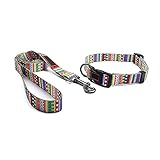 Putybudy Bedruckte Halsband-Leine Polyester-Traktionsleine Hunde-Laufleine für das tägliche Gehen im Freien Lauftraining Kleine mittelgroße Hunde&