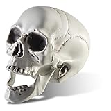 Prextex 16.5cm realistisch aussehender Skelett Schädel für die Beste Dekoration zu Hallow