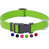 Amazon Brand - Umi - Hundehalsband Nylon, verstellbar | viele Farben & Größen | für kleine & große Hund Katze Welpe | Hunde-Halsbänder | Katzen-Halsband Welpen-Halsband | Grün, S