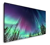 Paul Sinus Art Lila und grüner Himmel 120x 60cm Panorama Leinwand Bild XXL Format Wandbilder Wohnzimmer Wohnung Deko Kunstdruck