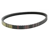 Keilriemen MALOSSI Special Belt - GILERA Runner SP 50 (ab Bj. 2005)