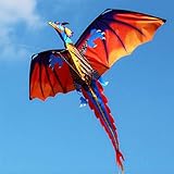 Wankd Kinderdrachen Bunt 3D Kinder Drachen Kite 120 * 140cm Long Tail lebensechte Dinosaurier Kite Spielzeug 100m Einzellinie mit Schwanz Outdoor Erwachsene Kinder Aktivitäten Spiele Spielzeug