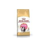 Royal Canin Persian Kätzchen, 2 kg