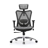 SIHOO Ergonomischer Bürostuhl, Chefsessel mit 3D verstellbare Armlehne und Lendenwirbelstütze, Hautfreundliche Netz-Hochlehne, Schreibtischstuhl bis 150kg/330LB Belastbar, G