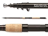 Daiwa Megaforce Tele 360TXXXH 6tlg. 100-300g 3.60