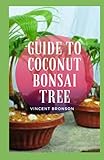 Guide To Coconut Bonsai Tree: As we all know that the palm tree is one of the plants that have so many advantag