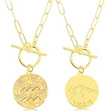 12 Konstellation Sternbild Münze Geprägte Halsband Halskette Konstellation Stern Anhänger Kette Astrologie Horoskop Zeichen Kette Büro Klammer Kette (Wassermann (20. Jan. bis 18. Feb.))