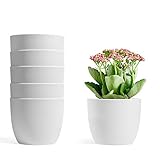 T4U 12cm Selbstwässernder Blumentopf Weiß 6er-Set, Selbstbewässerung Wasserspeicher Pflanzgefäß Übertopf für Innen- und Außenb