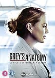 Grey's Anatomy Season 17 [UK Import]