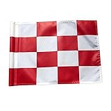 lahomia 2X Grüne Flagge Regulatorische Flagge, Die Grüne Flagge Yard Outdoor Sport Rot S