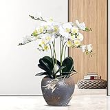 Künstliche Orchideen-Blumen-Imitat-Orchideen-künstliche Pflanzen Indoor-Imitat-Blumenarrangements Künstliche Orchideen Künstliche Blumen in der V
