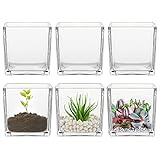 Transparente quadratische Glasvasen, Pflanzgefäß, Terrarium, Blumen, Vase, Kerzenhalter für Zuhause, Garten, Hochzeit, Tafelaufsatz, Dekorationen und formelle Abendessen (Breite 10,2 cm, Höhe 10,2 cm)