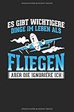 Es Gibt Wichtigere Dinge Im Leben Als Fliegen Aber Die Ignoriere Ich: Notizbuch, Journal, Tagebuch, 120 Seiten, ca. DIN A5,
