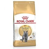 Royal Canin Feline British Shorthair, 1er Pack (1 x 10 kg Beutel)