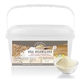 Vital Weizengluten 2 kg natürliches Verdickungsmittel rein pflanzlich | Weizeneiweiß | Seitan | kalorienarme Speisestärke | Backen und Kochen | G