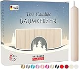 Brubaker 20er Pack Baumkerzen Wachs - Weihnachtskerzen Pyramidenkerzen Christbaumkerzen - Champag