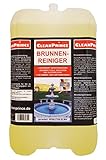 CleanPrince Brunnenreiniger 5 Liter | Brunnen Springbrunnen Algen Wasserklärung Reiniger Gartenbrunnen klären Brunnenklar B