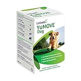 YuMOVE Gelenktabletten für Hunde mit Grünlippmuschel, Glucosamin, Chondroitin - Hüft- und Gelenkergänzung für steife ausgewachsene Hunde, 6 bis 8 Jahre,120 Tabletten, Lintb