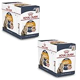 Royal Canin Intense Beauty in Soße - Doppelpack - 2 x 12 x 85g